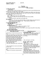 Bài giảng Văn 8 tuần 21-22( 2010-2011)