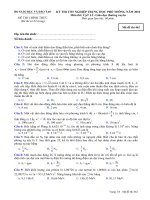 Đề thi chính thức kỳ thi tốt nghiệp THPT 2010 môn Vật lý - Giáo dục thường xuyên (Mã đề thi 462)