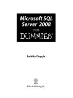 Microsoft SQL server 2008
