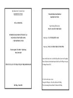 Mở rộng hoạt động tín dụng tại ngân hàng TMCP kiên long   chi nhánh đà nẵng 