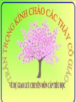 Gián án tiếng việt lớp 3 tuần 22