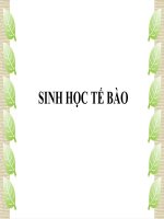 Sinh học tế bào - Cấu trúc, chức năng của tế bào