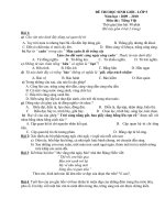 Tài liệu de thi HSG TV lop 5