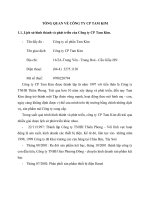 TỔNG QUAN VỀ CÔNG TY CP TAM KIM