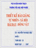 Gián án Động vật TNXH 3