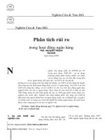 Phân tích rủi ro trong hoạt động ngân hàng