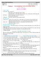 Gián án tuần 16 tiết 31.Ngọc