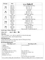 Bài giảng giao an tuan 19 mai tan son