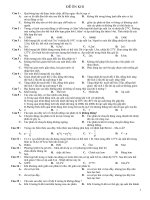 Bài giảng 80 CAU ON HKI VLI 10.doc