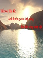 Gián án Sinh 9 Tiết 44