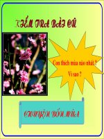 Gián án mua xuan den