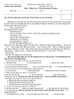 Gián án kiem tra doc ki 1 lop 4