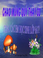 Bài giảng Bai 24:SỰ BAY HƠI