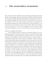 The neuroethics of memory