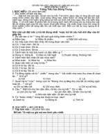 Bài soạn de kiem tra lop 5