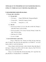 TỔNG QUAN VỀ TÌNH HÌNH SẢN XUẤT KINH DOANH CỦA CÔNG TY TNHH SẢN XUẤT THƯƠNG MẠI HỒNG HÀ