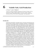 Quantitative aspects of ruminant digestion and metabolism - Phần 5