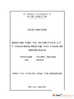 Hoàn thiện hoạt động cho vay đầu tư tại ngân hàng phát triển việt nam chi nhánh gia lai 