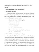 TỔNG QUAN CHUNG VỀ CÔNG TY TNHH HOÀNG CHÂU