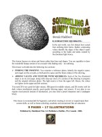 Squirkling a Bumpy Texture