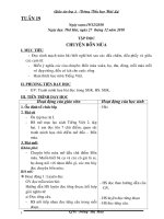 Bài soạn GIAO AN LOP 2 TUAN 19-20-21-22( CKTKN-KNS) moi nhat