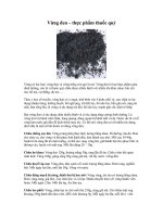 Bài soạn Vừng đen – thực phẩm thuốc quý