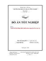 Thiết kế hệ thống điều khiển theo nguyên tắc cực trị