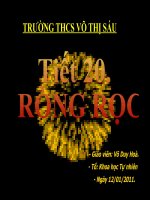 Bài soạn Tiết 20. RÒNG RỌC