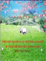 Tài liệu sống chét mặc bay