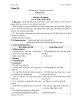 Gián án Giao an 3 Tuan 20 (CKTKN)