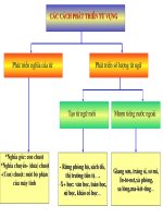 Bài soạn t49- tong ket ve tu vung