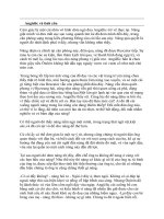 Bài giảng Tình sử Angielic tập 8