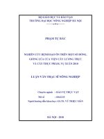 Nghiên cứu bệnh đạo ôn trên một số dòng, giống lúa của viện cây lương thực và cây thực phẩm, vụ xuân 2010 