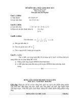Gián án Đề thi HK I mon toan 8 Sơn Động 2010-2011
