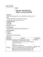 Bài soạn Âm Nhạc 7 tiết 19 Học Hát Bài Đi Cắt Lúa