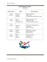 Bài soạn tuan 20 CKTKN