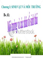 Bài giảng bài 41. môi trường và các nhân tố sinh thái ( cực hay)