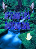 giao an quyen tu do tin nguong ton giao-thigvg