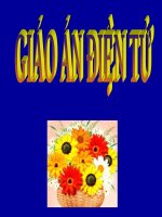 Bài giảng Nhà Lý dời đô ra Thăng Long