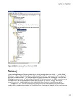 Pro SQL Server 2008 Analysis Services- P8