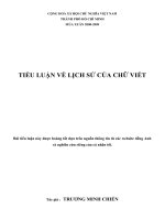 Bài soạn Tiểu Luận Lịch Sử Của Chử Viết