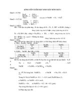 Tài liệu ĐÁP AN THI HỌC SINH GIOI HÓA 9