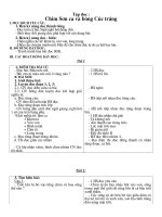 Gián án GA 2 TUAN 21