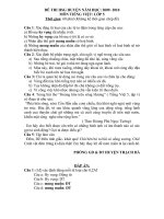 Bài giảng Đề& ĐA- HSG huyện- Môn TV- L5