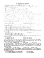 Bài soạn dề thi thử tn 6