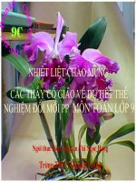 Bài giảng on tap chuong 3 dai 9