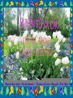 Gián án luyện tu và câu