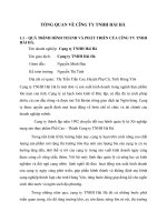 TỔNG QUAN VỀ CễNG TY TNHH HẢI HÀ