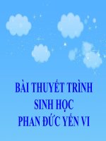 Bài giảng BÀI 46:THỎ