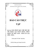 Giải pháp hạn chế rủi ro tín dụng tại ngân hàng TMCP quốc tế Việt Nam – PGD cát lái (2010 - 2012)